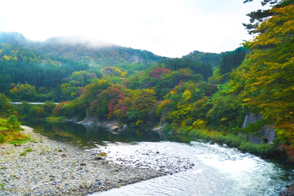 河川水位予測システム